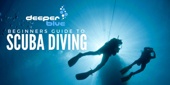 The Beginners Guide to Scuba Diving