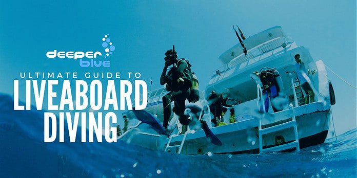 The Ultimate Guide To Liveaboard Diving