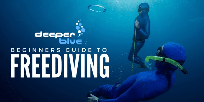 The Beginners Guide To Freediving