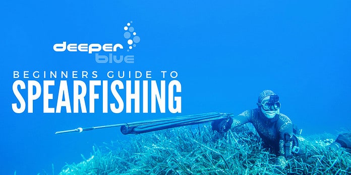 The Beginners Guide To Spearfishing